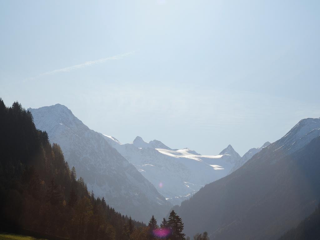 Apart&Chalet Chiara Neustift im Stubaital Værelse billede
